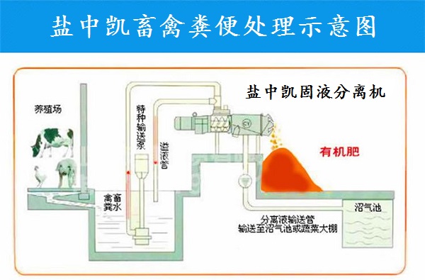 黄色软件葫芦娃